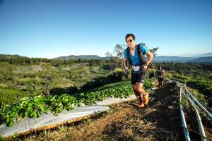 BIB: 
                            <button type="button" onclick="openModal(19110876)" class="btn btn-primary btn-sm float-right btn-popup" data-toggle="modal" data-target=".modal-high-quality">
                        <i class="fas fa-shopping-cart"></i> Add to Cart
                    </button>
                                            <button type="button" onclick="isThisMe(19110876, true)" class="btn btn-success btn-sm float-right btn-popup btn-isme hidden" data-toggle="tooltip" data-placement="bottom" title="นี่คือรูปของคุณใช่ไหม คลิกที่นี่เพื่อเอาเข้าอัลบั้ม">
                        <i class="fas fa-plus"></i> Add to album
                    </button>
                    <button type="button" onclick="isThisMe(19110876, false)" class="btn btn-warning btn-sm float-right btn-popup btn-isnotme hidden">
                        <i class="fas fa-ban"></i> Remove from album
                    </button>